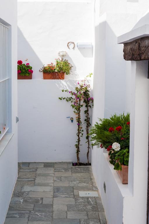 Alhania Vejer